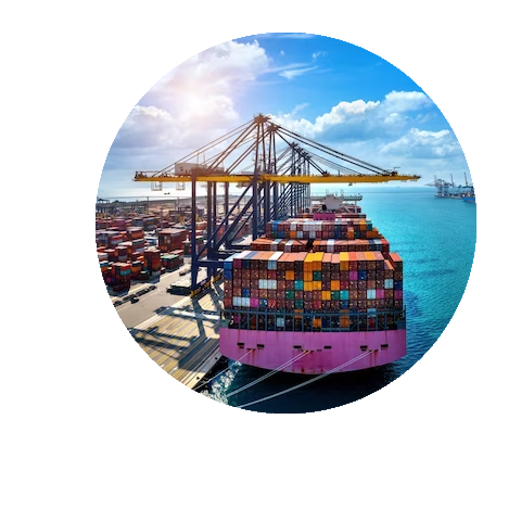digital-marketing-case-study-logistics4-img